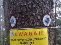 TRAMP 25-lecia SKT (70)